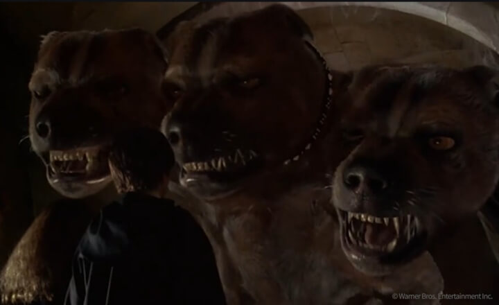 마법사의-돌을-지키는-시험-장면