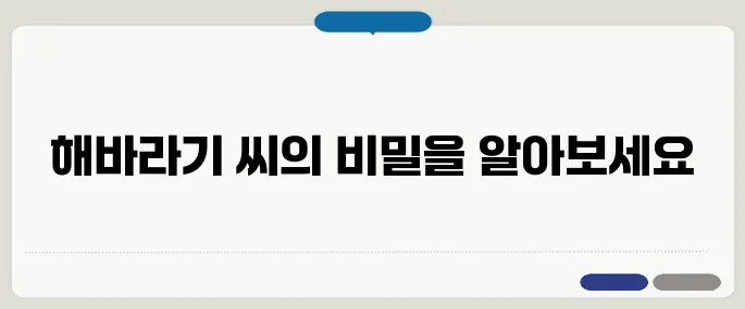 해바라기 씨 효능 하루 한 줌이 다릅니다