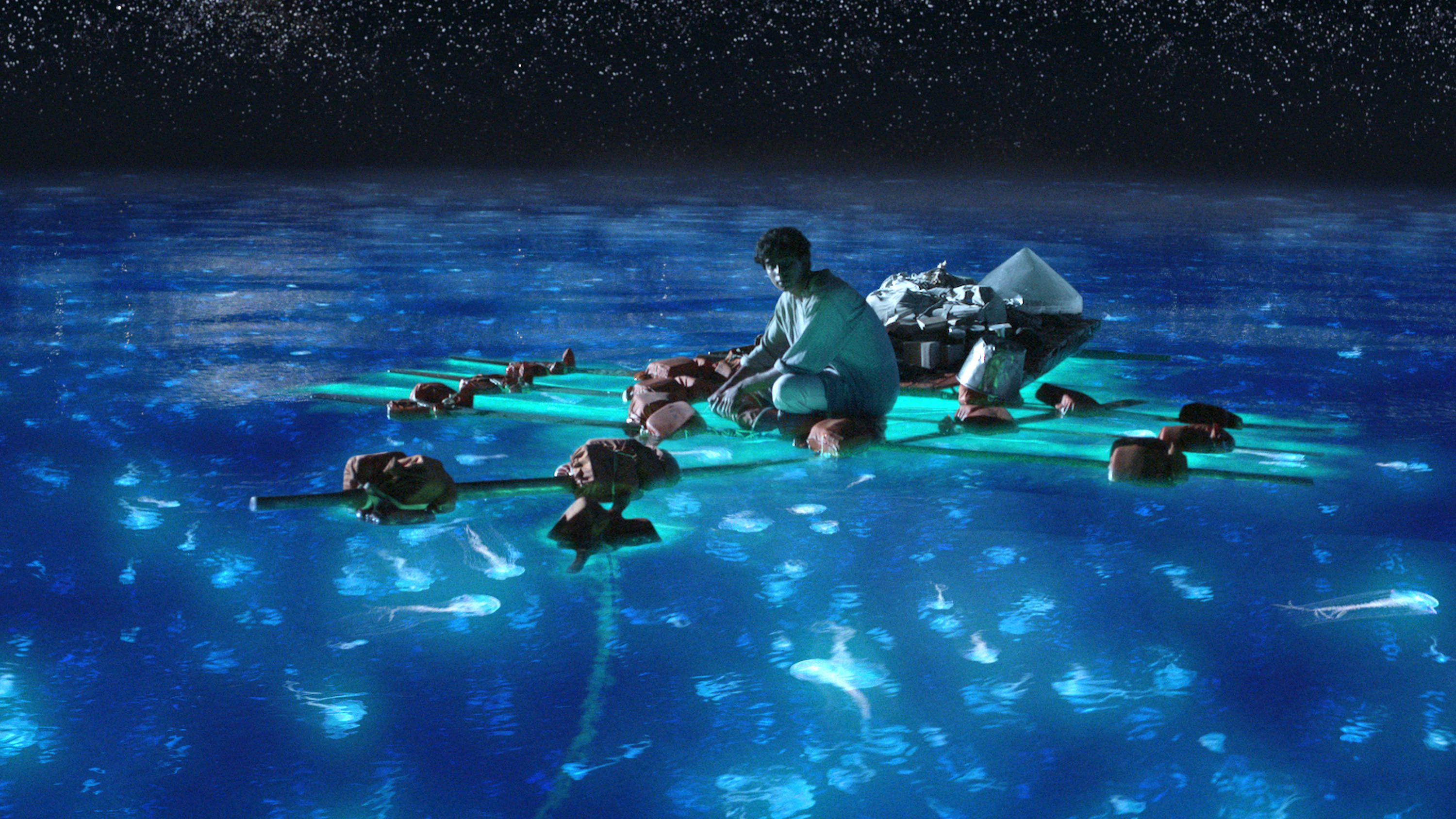 영화 라이프 오브 파이 (Life of Pi)