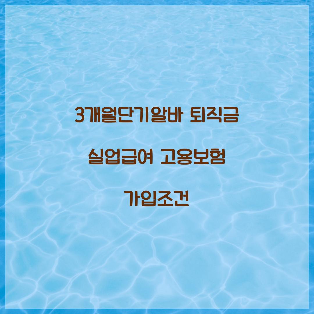 3개월단기알바