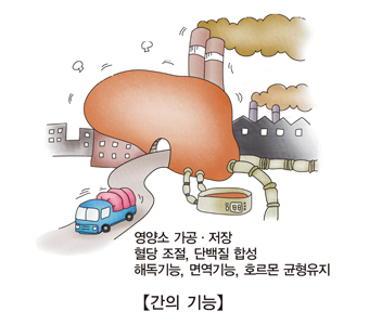 간