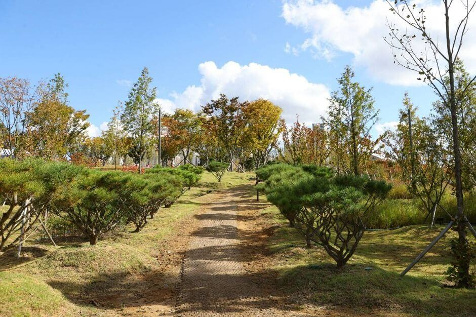 충주 가볼만한곳 베스트 10