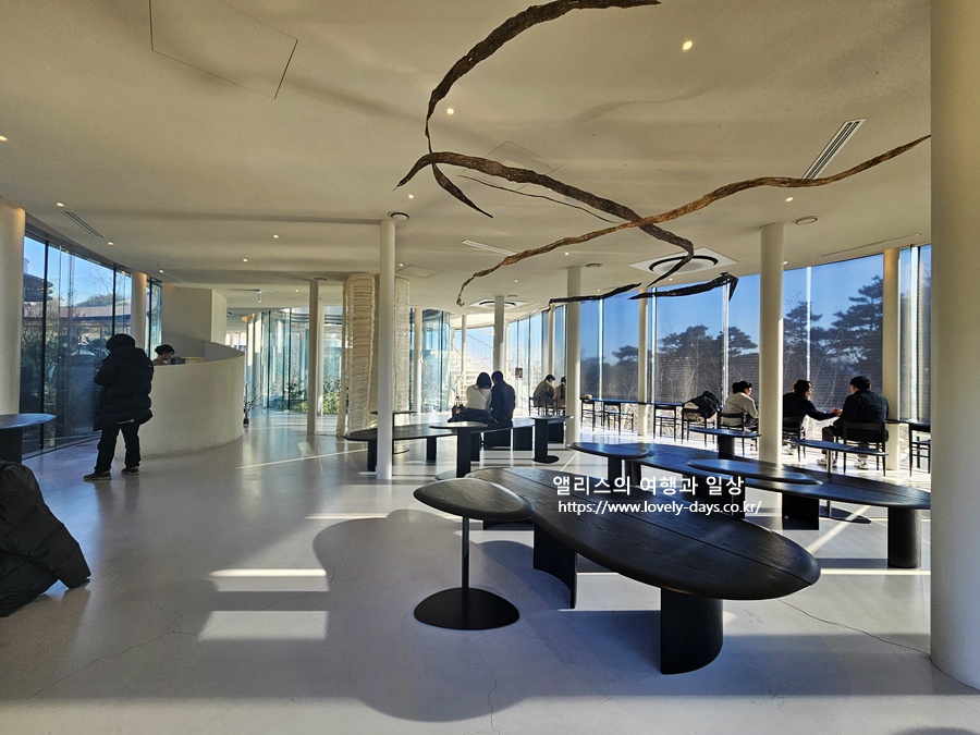 울산 미지의 카페 정원 예약 입장료 메뉴 가격 내부 후기