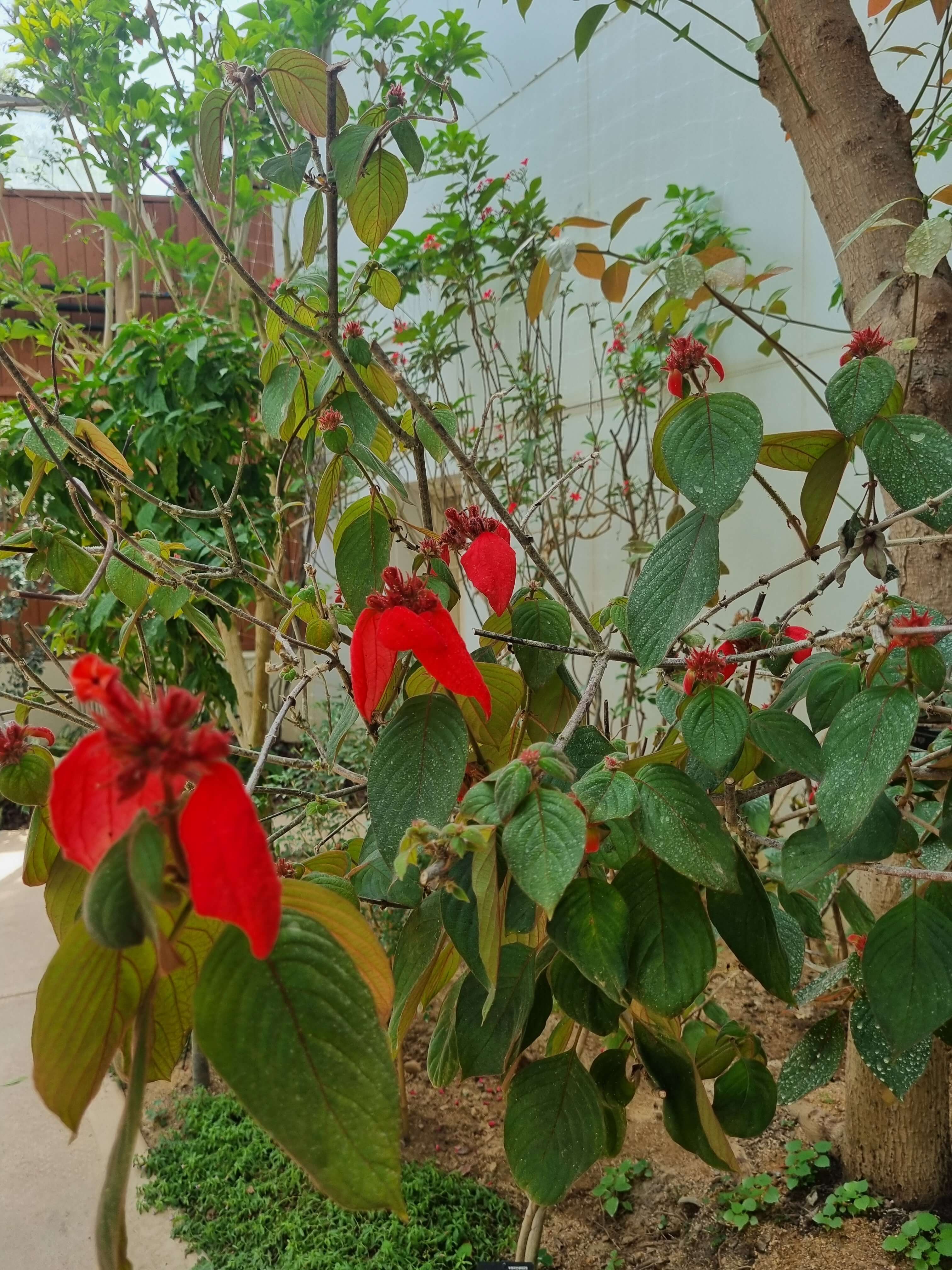 부천 가볼만한 곳 자연생태공원