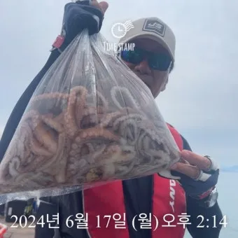 6월 낙지 금어기 정확한 시작일과 끝나는 날 지역별 상세 기준 정리_24