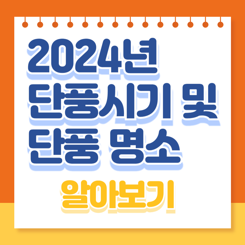 2024년 단풍시기와 단풍명소