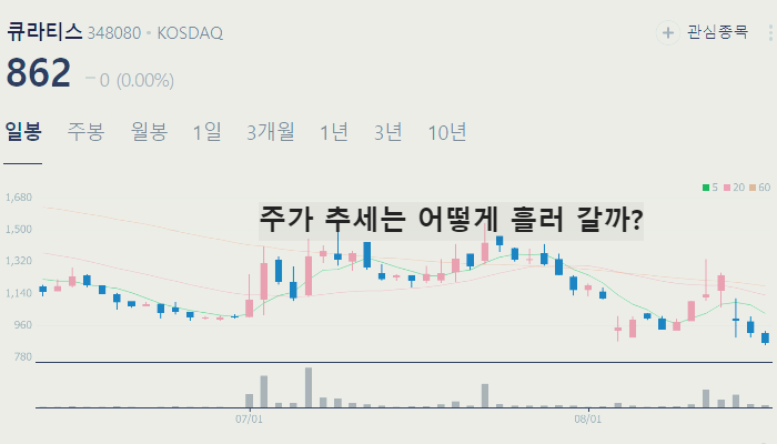 비만 치료제 관련주 대장주 TOP10