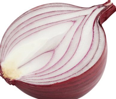 고양이가먹으면안되는음식