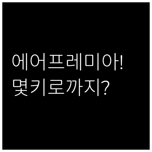 에어프레미아 항공권, 위탁수하물 몇 ..