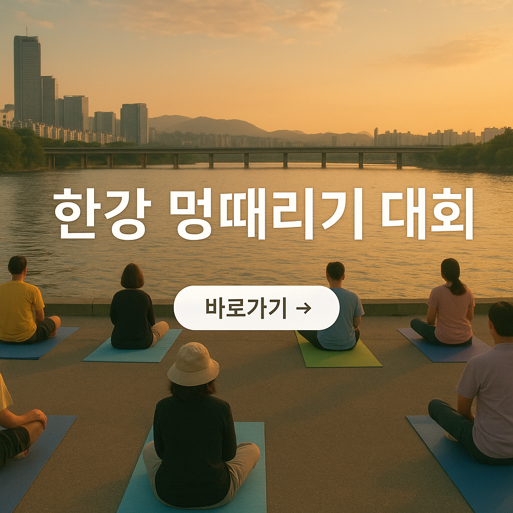 한강 멍때리기 대회 사진