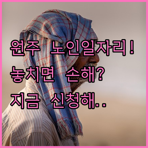 원주시 시니어클럽 노인 일자리 종류와..