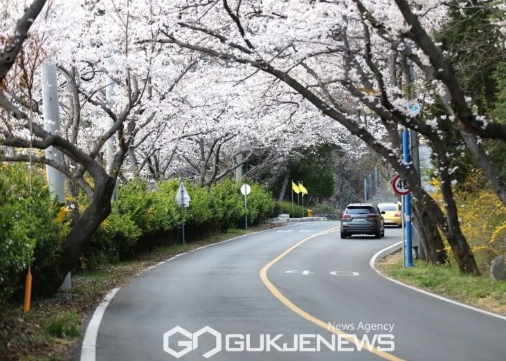 장복산공원