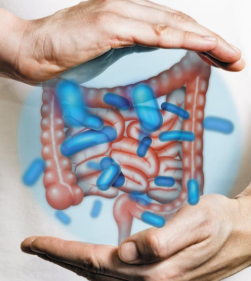 유산균 추천,프로바이오틱스