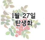 이 이미지를 클릭하시면 1월 27일 탄생화에 관한 포스팅으로 이동됩니다.