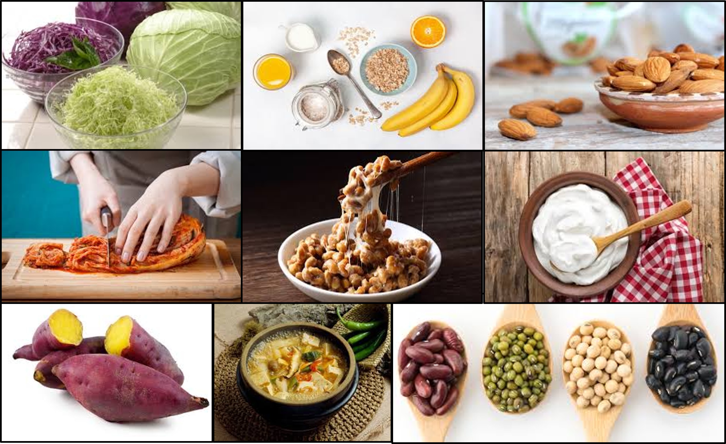 장에 좋은 음식들 사진