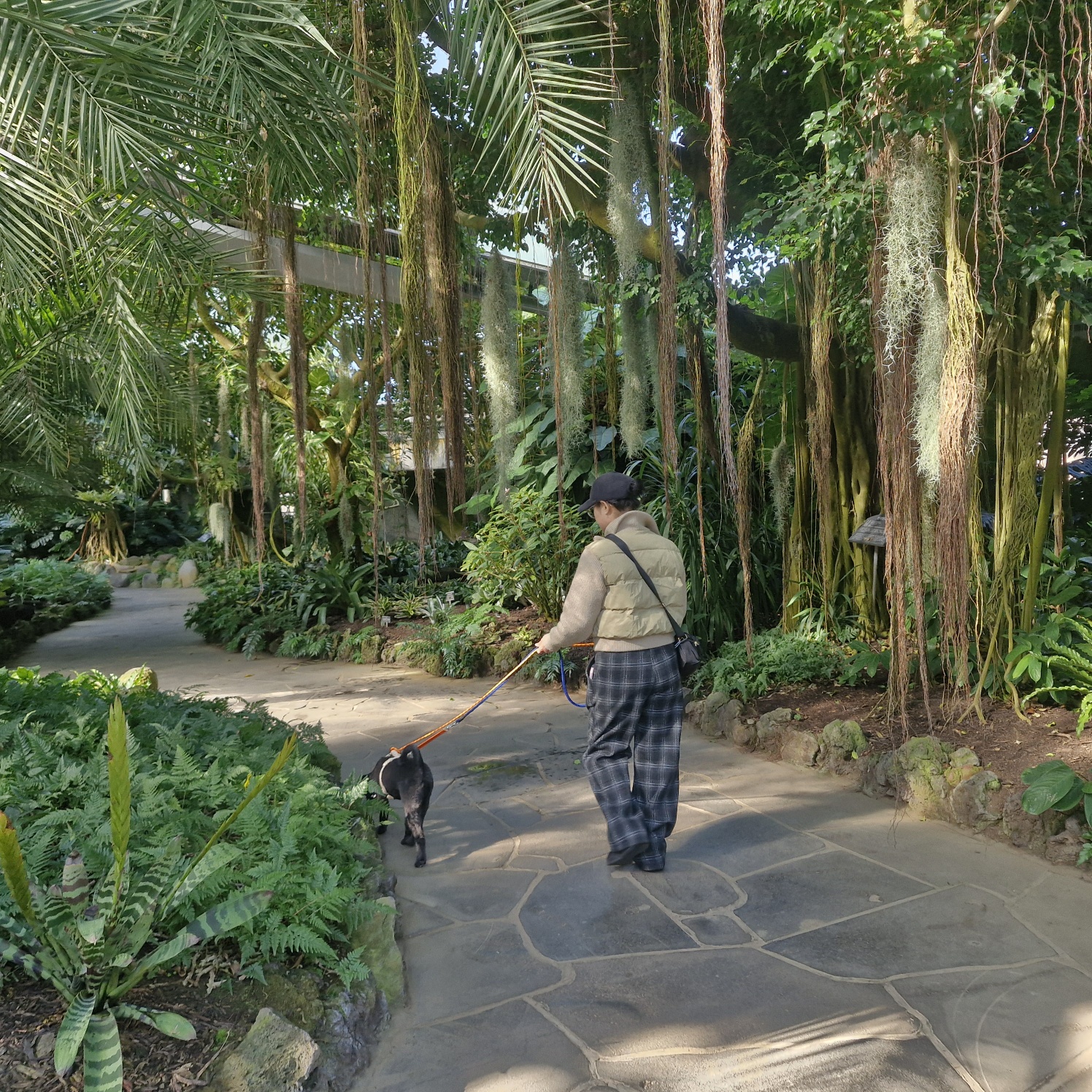 강아지가 진짜 원하는 10가지 (사료보다 더 중요한 것들)