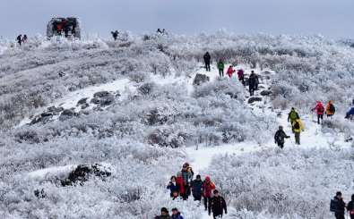 태백-눈꽃축제-프로그램