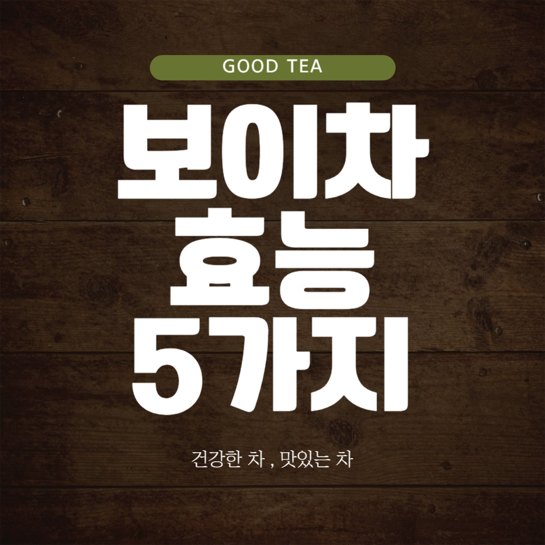 보이차 효능 5가지 ( 보이차 다이어트 )