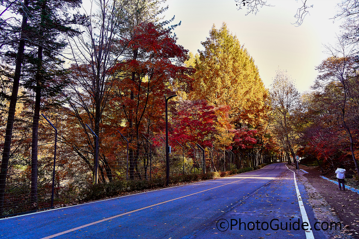 포토가이드 photoguide.com 가을 둘레길