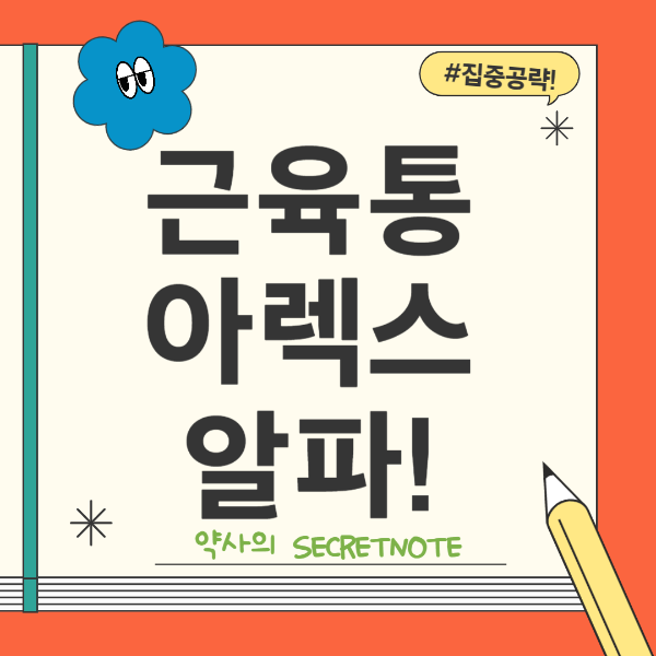 아렉스알파정
