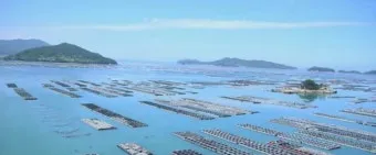 완도 맛집 베스트10 숨겨진 남도 해산물_14