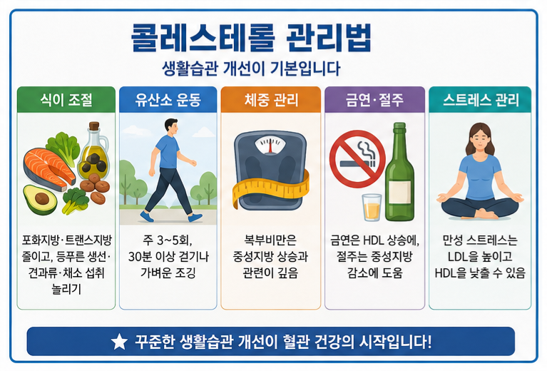 콜레스테롤 관리법 식습관 운동