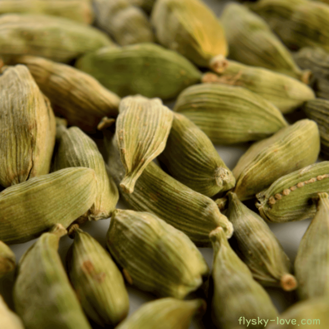 최고의 향신료 카르다몸 (Cardamon), 카더멈