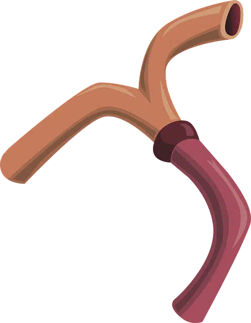 고지혈증 관련사진3