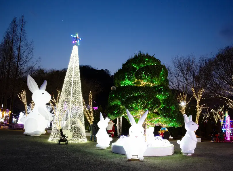 프로방스 달토끼 이미지