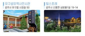 2025 유구색동수국정원 꽃 축제