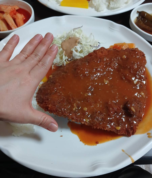 왕돈까스 손바닥만하다
