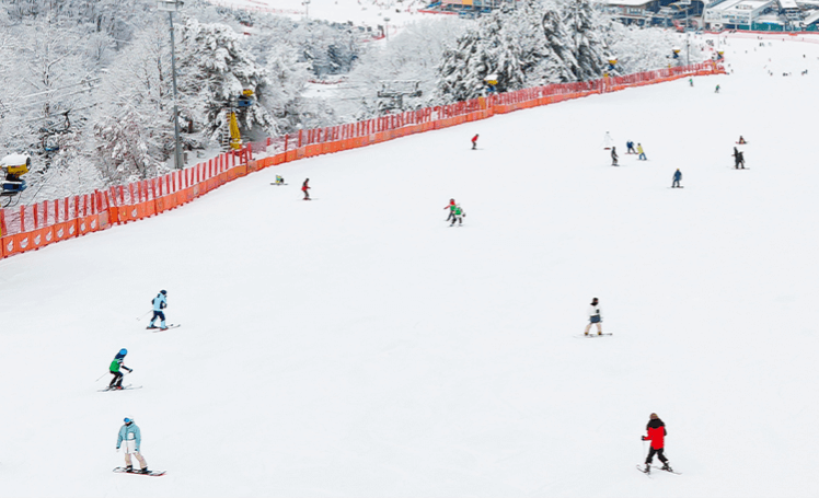시즌권 구매 전 알아두면 좋은 스키장별 혜택 비교