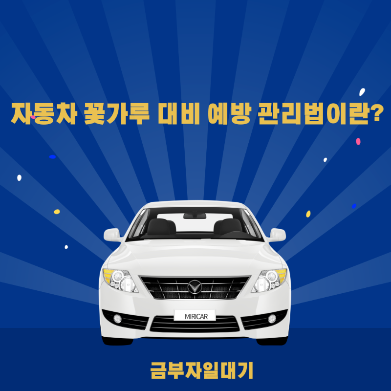 자동차 꽃가루 대비 예방 관리법이란?