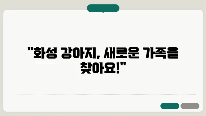 화성강아지보호소 컴투펫위탁보호센터