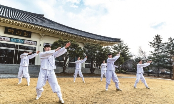 택견의 본질