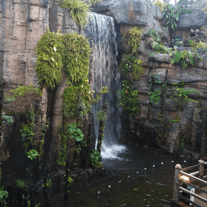 이색적인-거제식물원-폭포