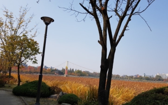 전주 덕진공원