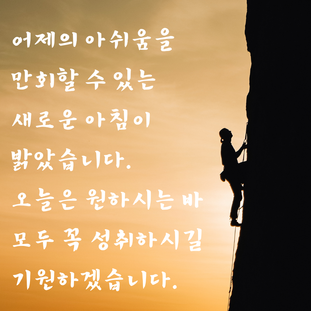 기분 좋은 아침 인사말 이미지 문구 모음집