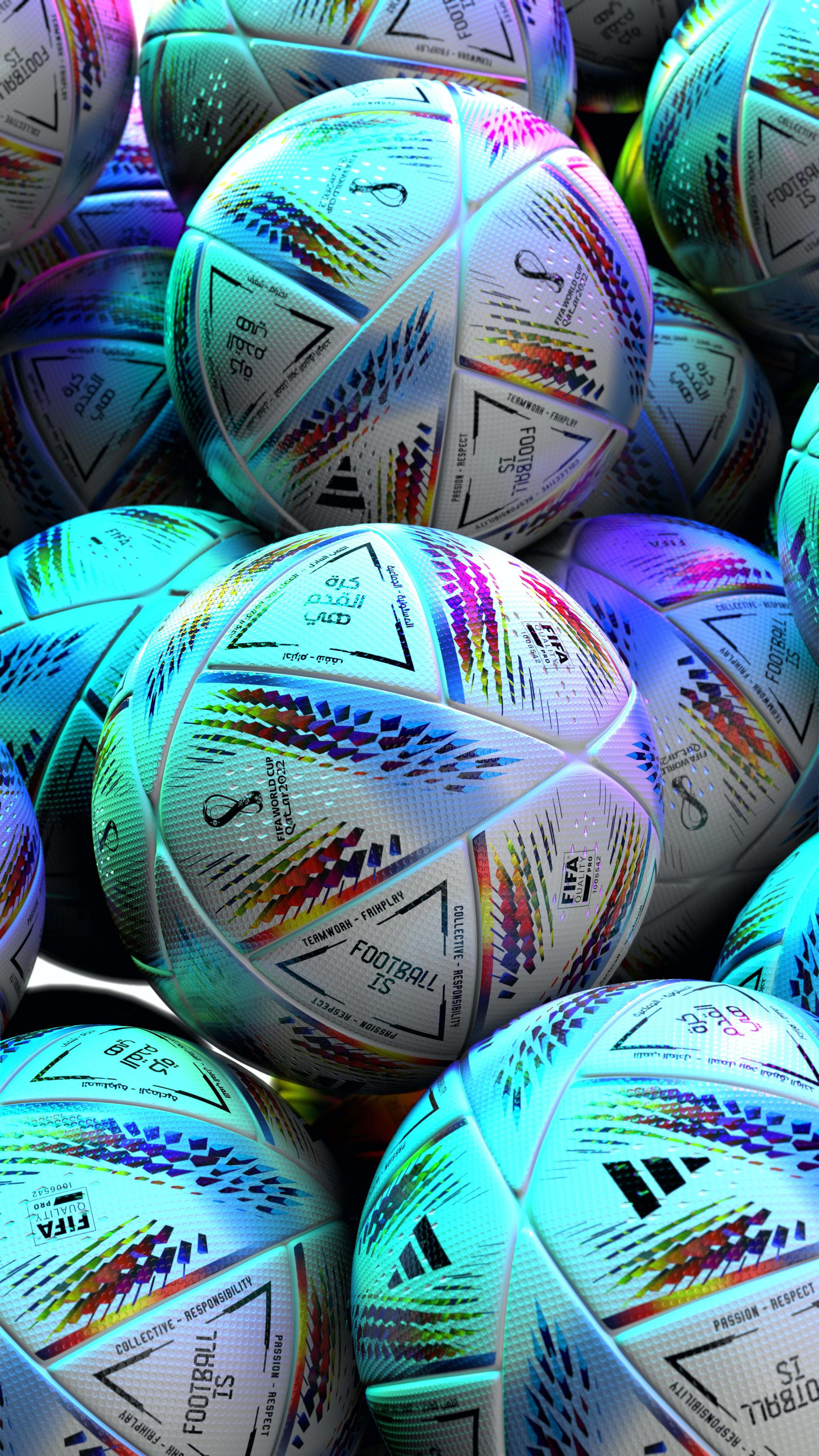 2024년 수험생 할인