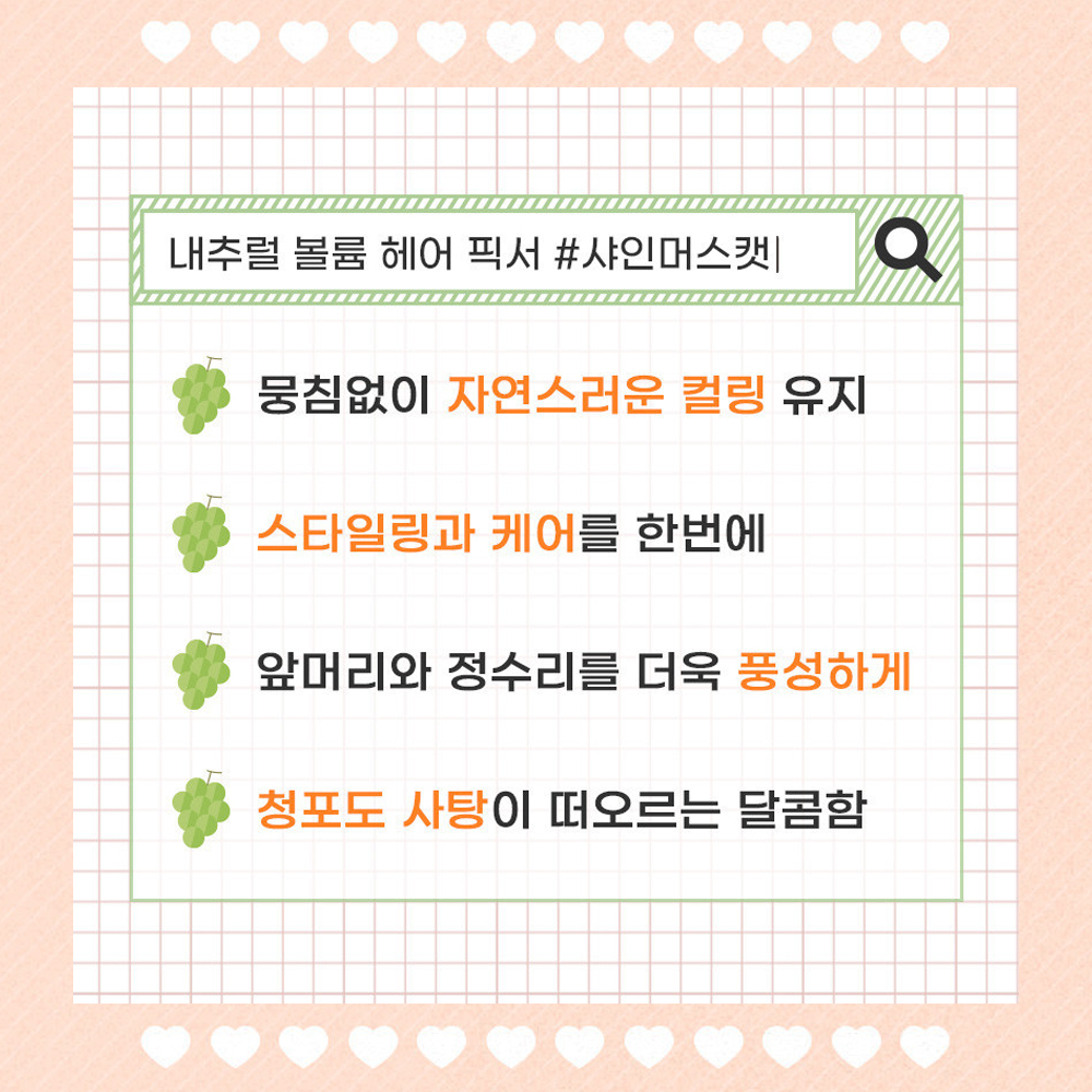 내추럴 헤어픽서
