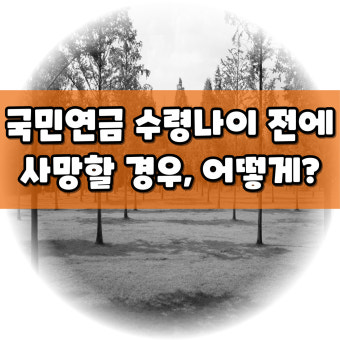 국민연금 사망시