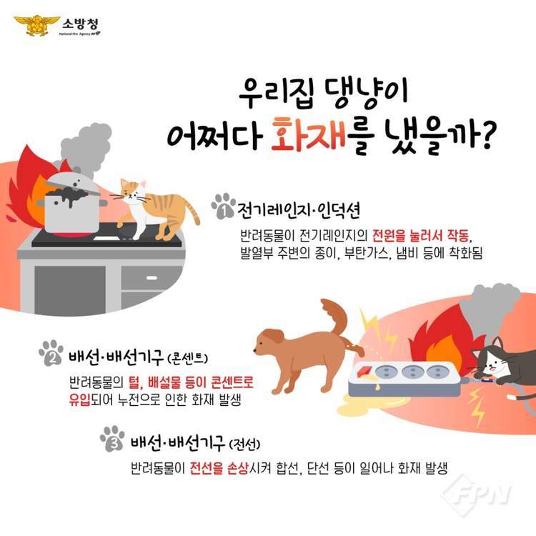 반려동물 가정이라면 꼭 알아야 할 화재주의보 (실제 사고 사례 + 예방법)