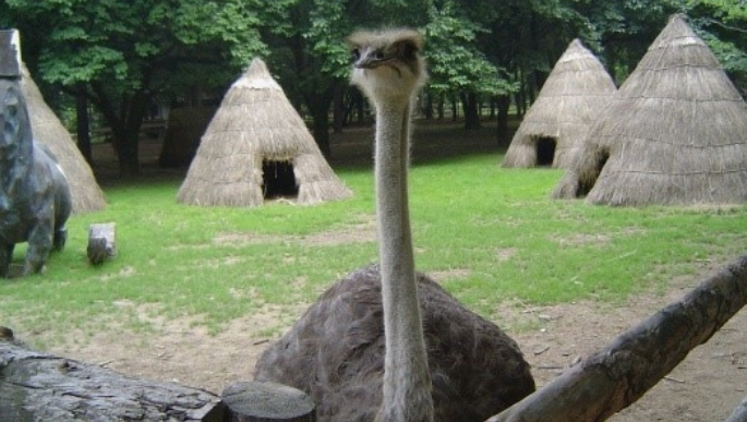 2024 년 남이섬 국내여행 /나미나라 공화국