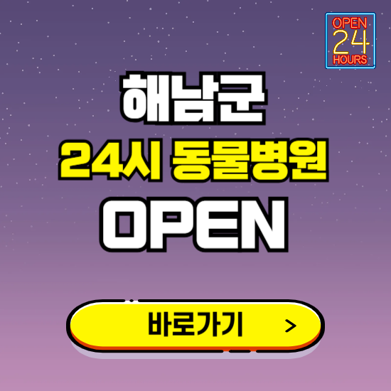해남군 24시 동물병원 진료하는 곳 ❘ 설날 휴일 야간 심야 문여는곳 찾기 ❘ 응급진료