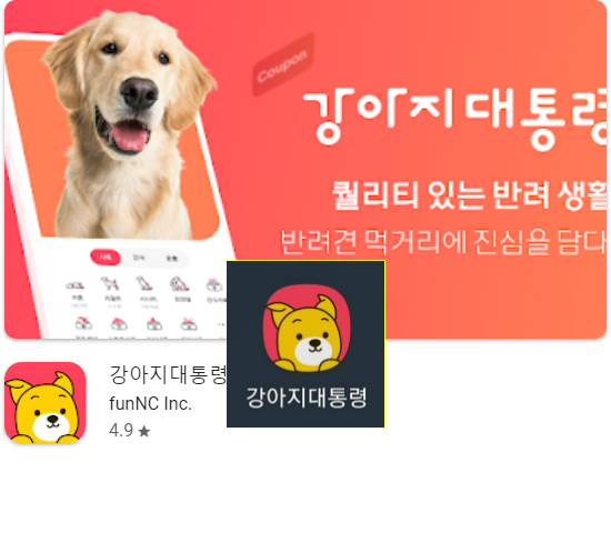 강아지대통령 앱 소개