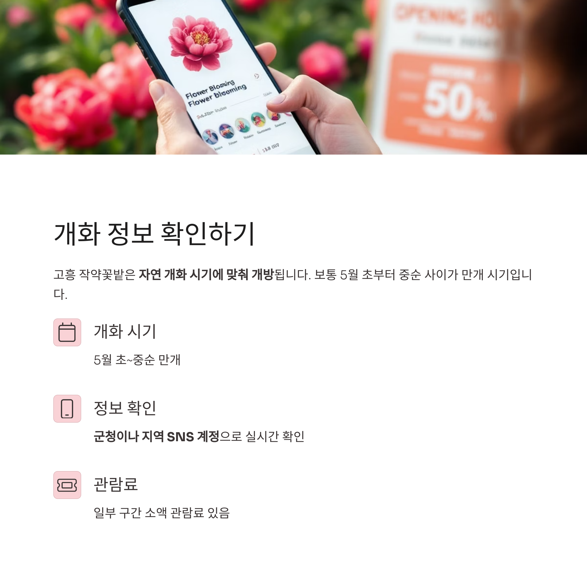 고흥 작약꽃밭, 남도 끝자락에서 피어난 봄의 절정