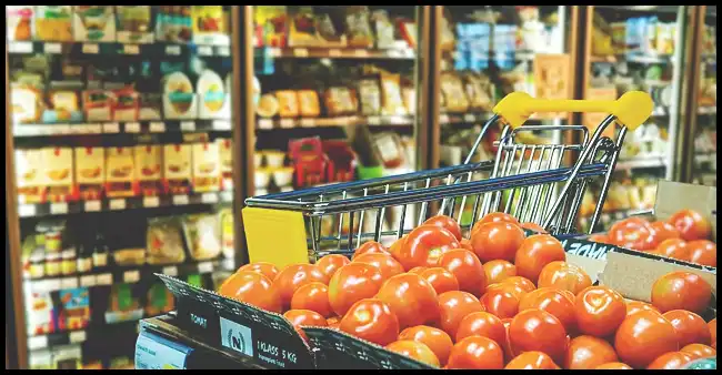 2024 ์ฝ๋ฆฌ์ ์ธ์ผ ํ์คํ ๊ธฐ๊ฐ ํ๋ชฉ ์ด์ ๋ฆฌ (์์ง ์ผ์ฑ ์ ์, ๊ธฐ์ ํ๋ ์๋์ฐจ ๋ฑ)