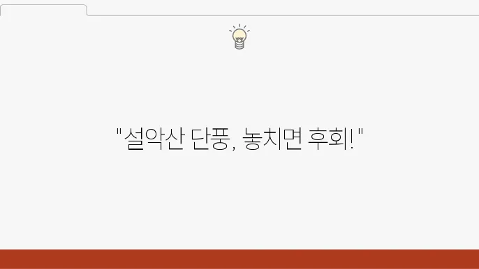 설악산 단풍 시기·코스 완벽정리