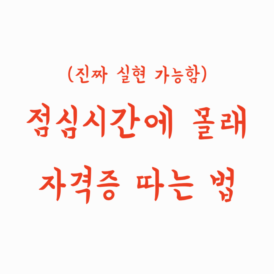 점심시간에 몰래 자격증 따는 법 (진짜 실현 가능함)