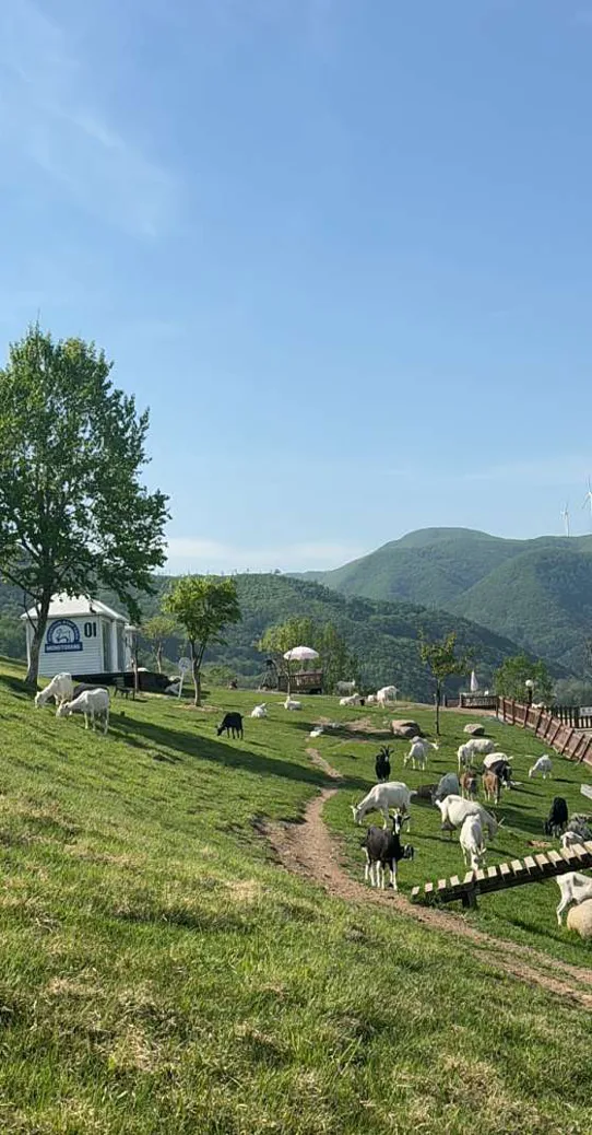 몽토랑산양목장